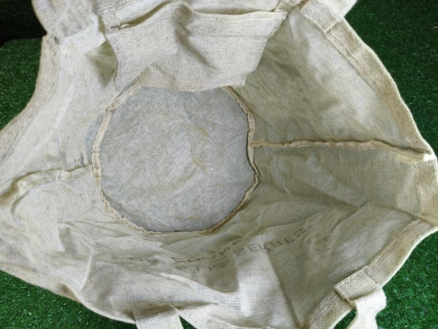 Chanel Dans Les Serres de Canel Linen Bag 6