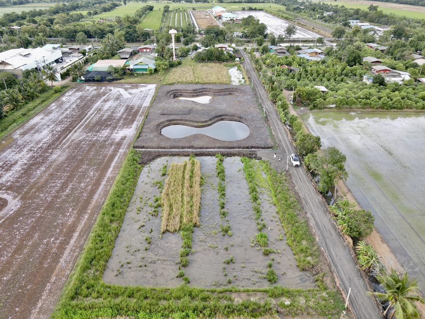 ขายที่ดินคลอง 11 หนองเสือ ปทุมธานี — 300 ตร.ว. ราคา 1.15 ล้านบาท 8
