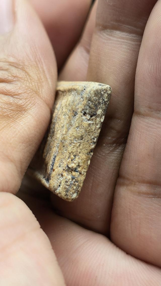 พระสมเด็จวัดระฆัง พิมพ์ฐานแซม 6