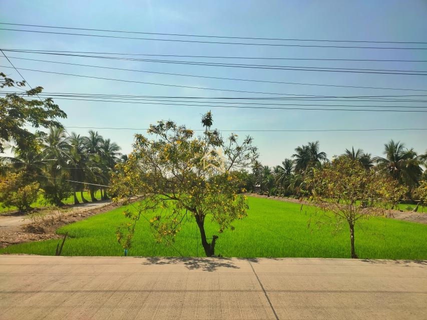 ขาย ที่ดิน 4 ไร่ 1 งาน 59.6 ตารางวา อ.ไทรน้อย จ.นนทบุรี 2