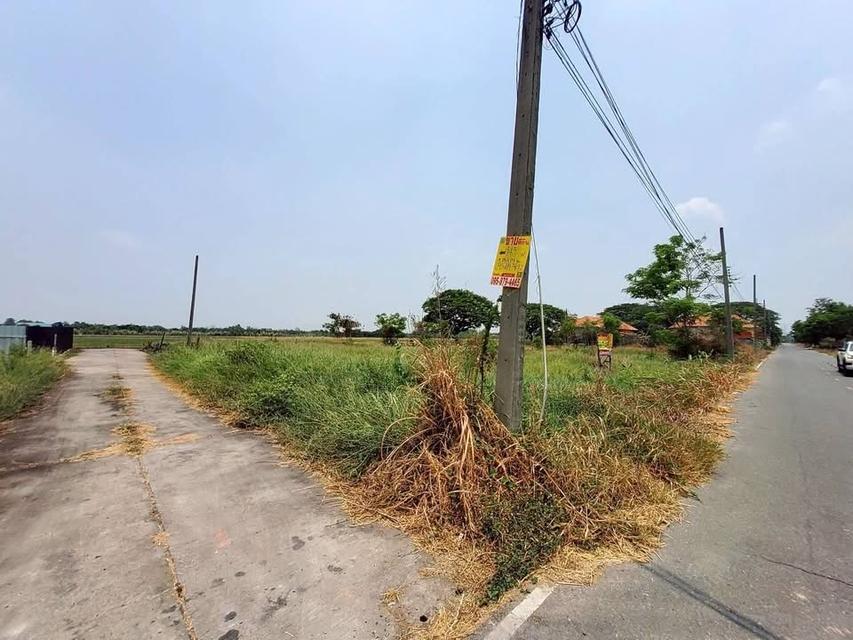 ขายด่วนที่ดิน 143 ตารางวา ติดถนน 2 ด้าน แปลงมุมบึงบอน 3 หนองเสือ ปทุมธานี 2