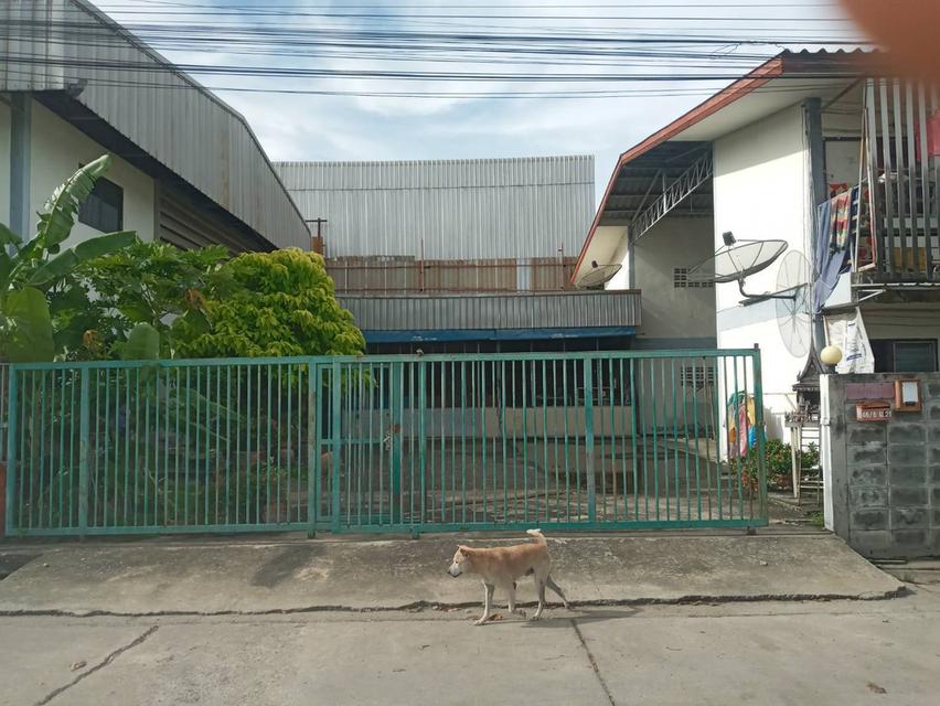 โรงงานพร้อมห้องเช่า 3