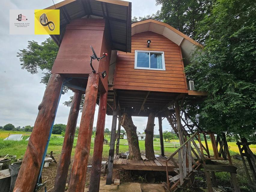 ขายรีสอร์ท เนื้อที่ 13 ไร่ พร้อมเปิดกิจการได้ทันที ใกล้ตัวเมืองแยกเลี่ยงเมืองศิลาไปพระธาตุขามแก่น 12