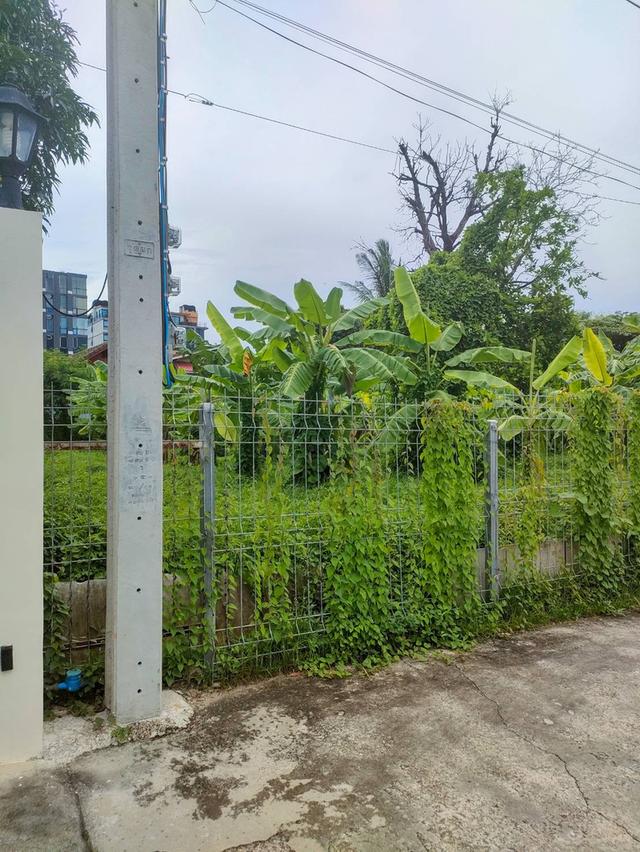 ขายที่ดินเปล่าถมแล้วในถนนลาดพร้าวซอย 48 กรุงเทพมหานคร 4