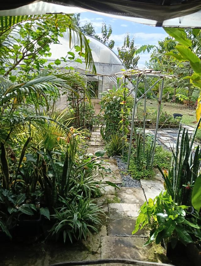 ที่ดินพร้อมโรงงาน+ห้องเย็น+โรงปลูกผักออแกนิค 9