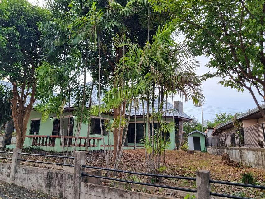 Pattaya Land and house for sale 4.6 M 3