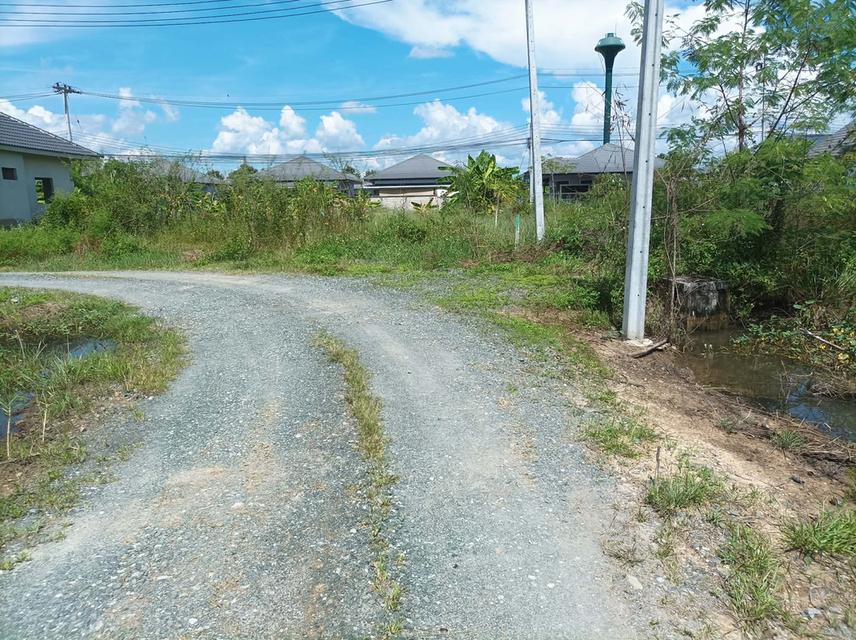 ขายที่ดิน 60 ตร.ว. ต.ตลาดขวัญ อ.ดอยสะเก็ด จ.เชียงใหม่ 6