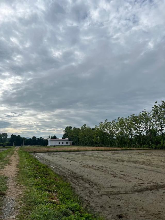 ที่ดิน เจ้าของขายเอง ปี 2569 15