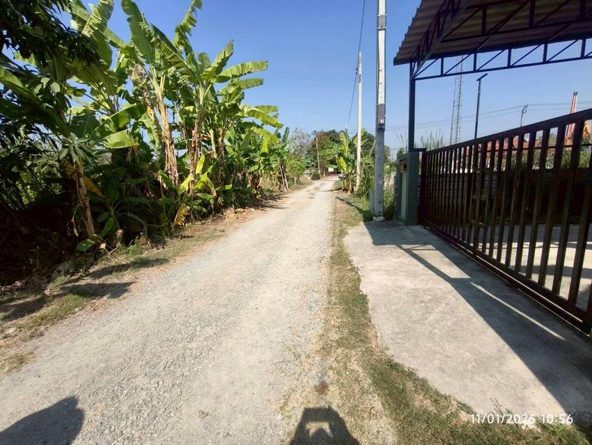 ขายด่วนที่ดินซอยวัดบางม่วง 50 ตรว ติดถนนสาธารณะ ถมแล้ว อ.บางใหญ่ จ.นนทบุรี 6