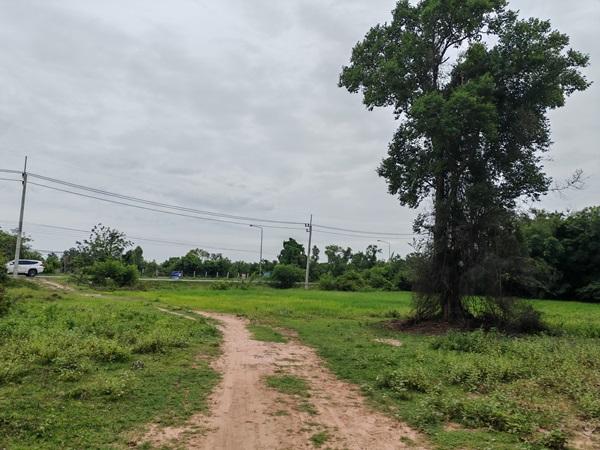 ขายที่ดินเปล่า 16 ไร่ 2 งาน 58 ตร.ว. อำเภอประทาย นครราชสีมา ติดถนน อยู่ในแหล่งชุมชน โทร 083-9169044 4