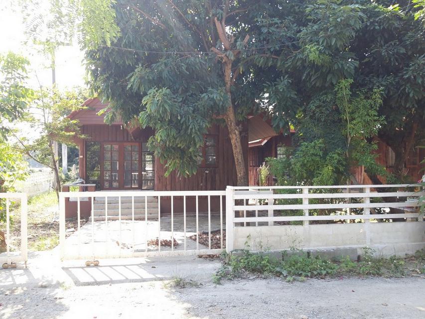 Single house for rent Chiang Mai บ้านเดี่ยวให้เช่า แม่ริม 3