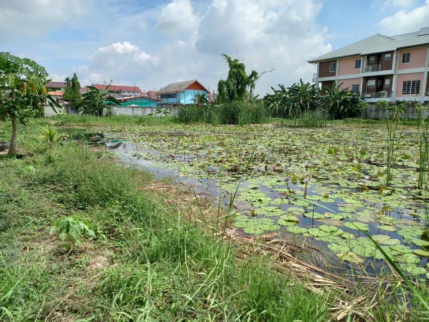 ที่ดินเปล่า ในซอยวัดกู้ 2