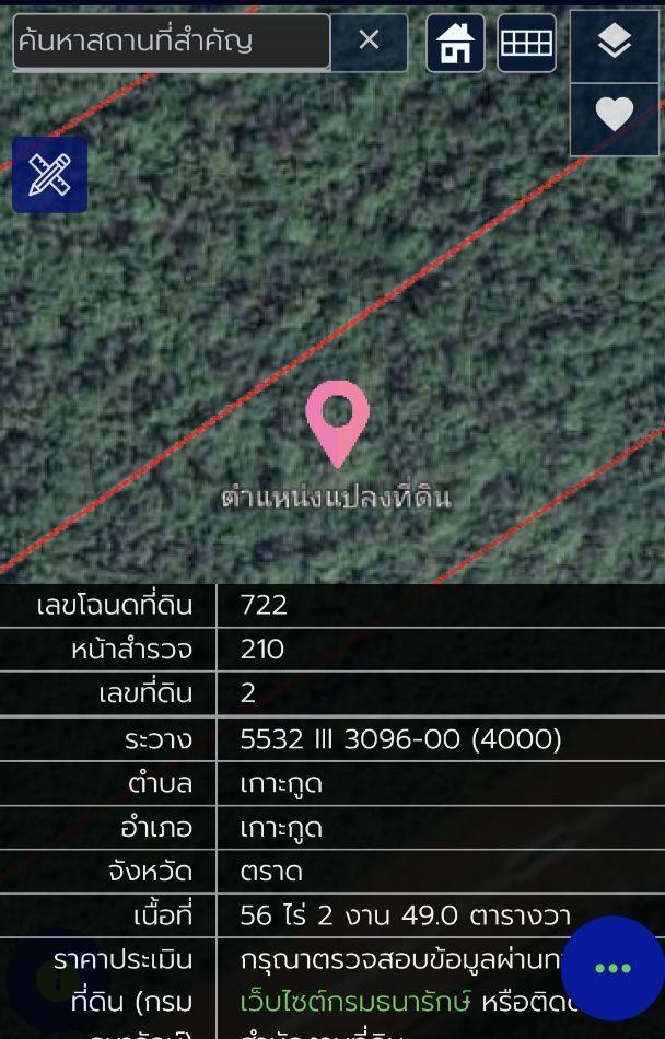 ขาย ที่ดิน (โฉนดครุฑแดง) 138 ไร่ 1 งาน 8 ตร.วา (บนเกาะไม้ซี้) 2