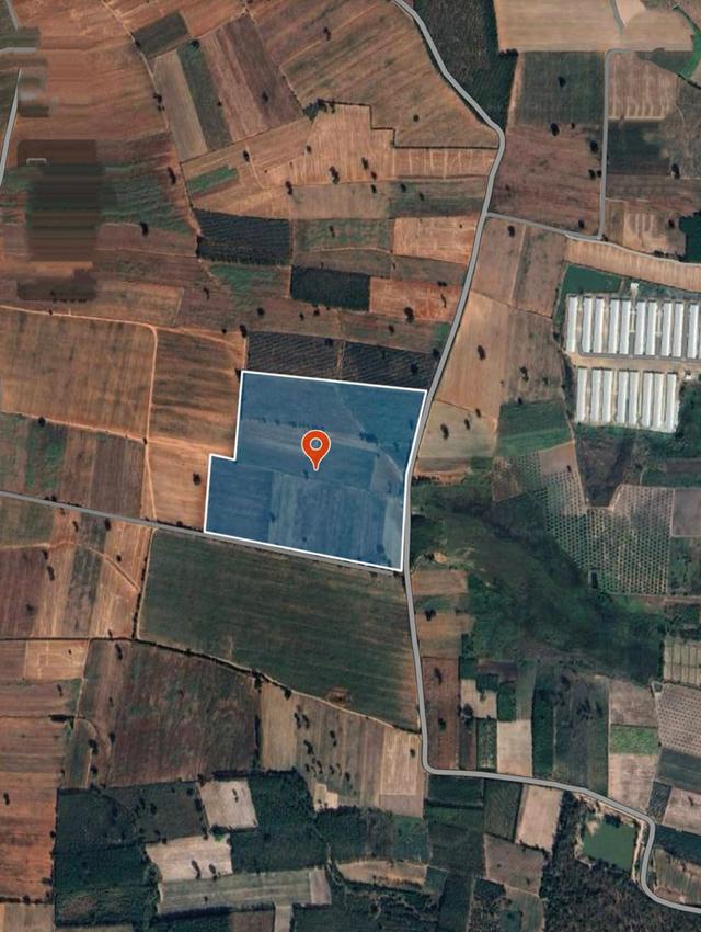 ขายที่ดิน105ไร่ตำบลลุงเขว้าหนองบุญมากจังหวัดนครราชสีมา 1