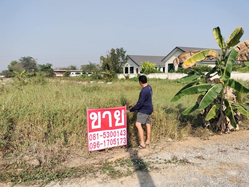 ขายที่ดิน ต.บ้านร่องกาศ จังหวัดแพร่  2