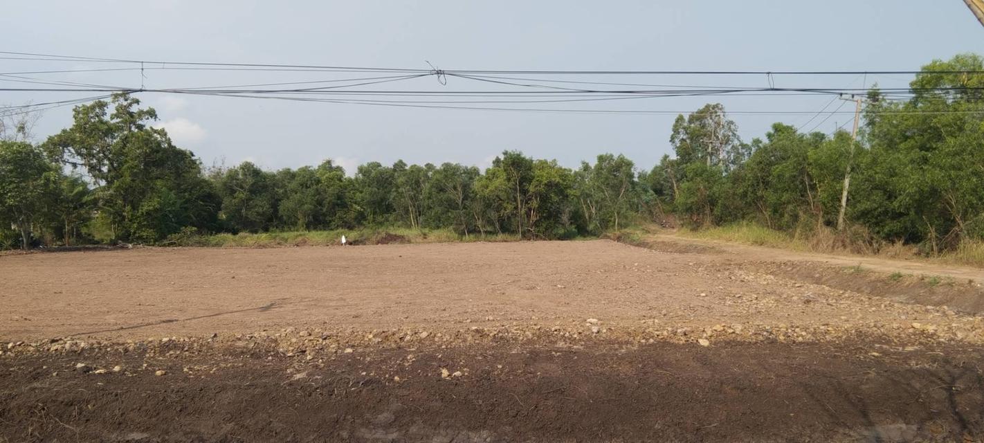 ขายที่ดินเปล่าขนาด4ไร่ 1 งา ราคา5,200,000 แถวรังสิต 1