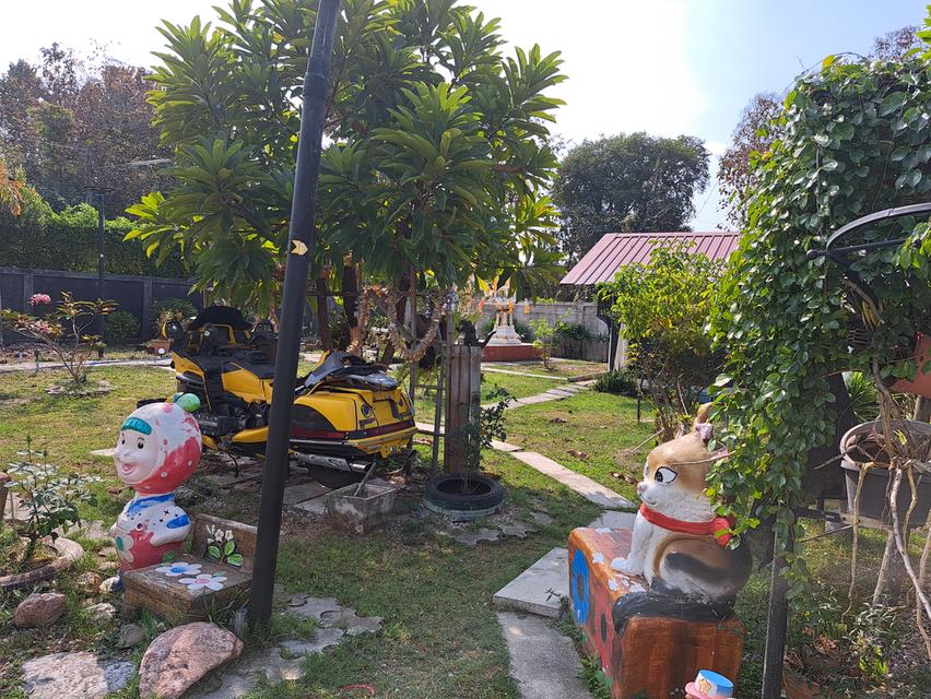 ขายบ้านสวนบนเนื้อที่1ไร่1งาน39ตรว. 4