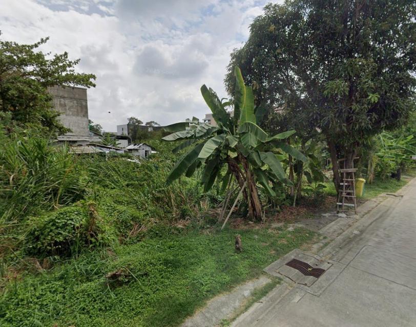 ขายที่ดิน เนื้อที่ 212 ตร.ว. ซอยนาคนิวาส 48 แยก 16 ใกล้ เซ็นทรัล อีสต์วิลล์ 2