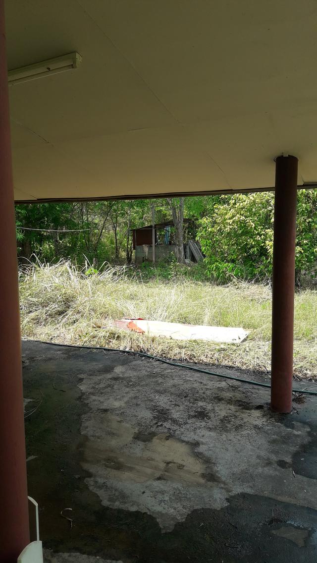 ยังขายอยู่นะครับบ้านสวนพร้อมที่ดิน จ.หนองคายครับ อยู่ในเขต บ้านหนองสองห้อง อ.เมือง หมู่ 8 เนื้อที่ 2 ไร่ 3.3 ตร.ว ติดทางสาธารณะ 2 ด้านเลย 9
