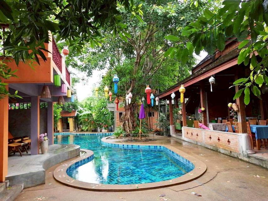 ขายด่วนโรงแรม พร้อมกิจการ หางดง เชียงใหม่ 12