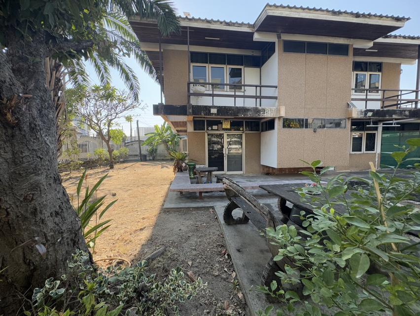 ให้เช่าบ้านเดี่ยว 2 ชั้น พร้อมที่ดิน ซอยสุขุมวิท 97/1 ถนนสุขุมวิท (N.1543) 13