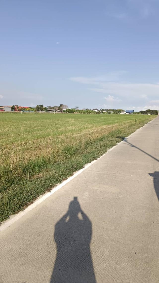 ขายที่ดินเปล่าติดถนนลำลูกกากาคลอง 9 จังหวัดปทุมธานี 7