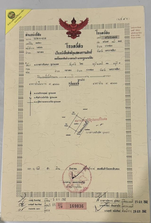 ขออนุญาติฝากขายที่ดินกลางดง ปากช่องแปลงงาม(โฉนด) เนื้อที่ 3 ไร่ ติดเขาใหญ่ ใกล้ถนนมิตรภาพ 7