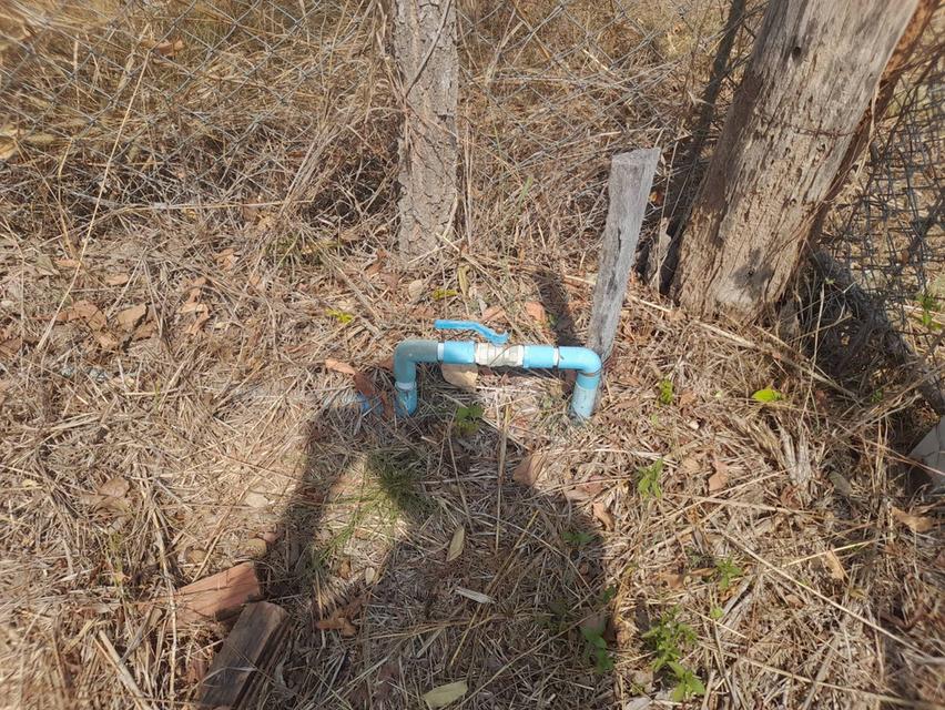 ขายด่วนที่ดิน 101 ตรว โฉนดครุฑแดง ติดถนนวงแหวนรอบเมืองโคราช  #ราคา 750,0000 บาท เท่านั้น #ขายต่ำกว่าราคาประเมิน จุดเด่น  1.ห่างถนนวงแหวนรอบเมืองโครา 3