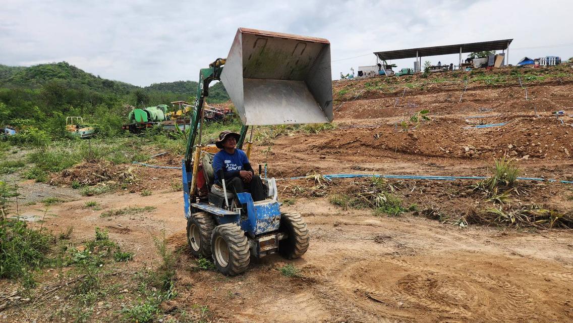 รถตัก ฺBOBCAT ยี่ห้อ TCM บุ้งกี๋สแตนเลส ยกสูง 2.5 เมตร 4WD เก่าญี่ปุ่นแท้ ไม่เคยใช้งานในไทย สภาพเดิมๆจากญี่ปุ่น 