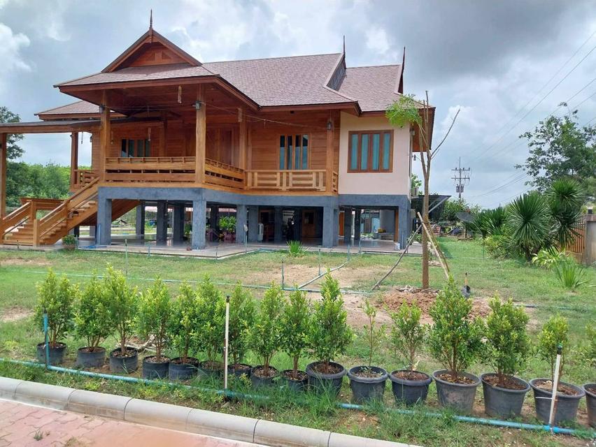 บ้านไม้สักและสวนธรรมชาติ 2