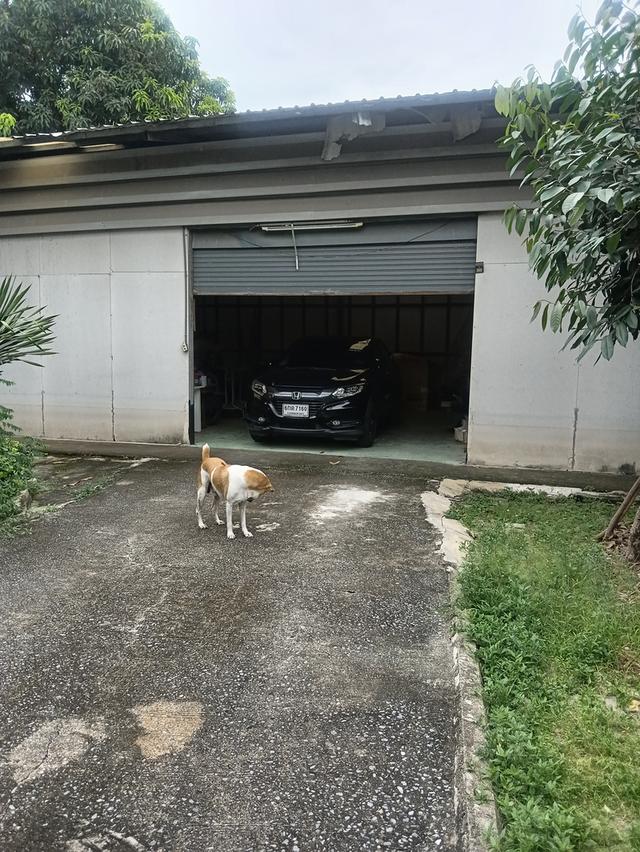 ที่ดินเปล่า 109 ตรว ใกล้ BTS สายหยุด ในซอยพหลโยธิน 48 แยก 5 7