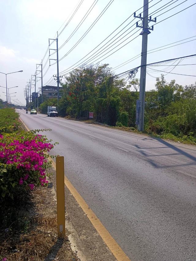 ขายที่ดินแปลงใหญ่เนื้อที่ 25-0-46 ไร่ ติดถนนศาลายา พุทธมณฑล นครปฐม เหมาะลงทุนเชิงพาณิชย์ 6