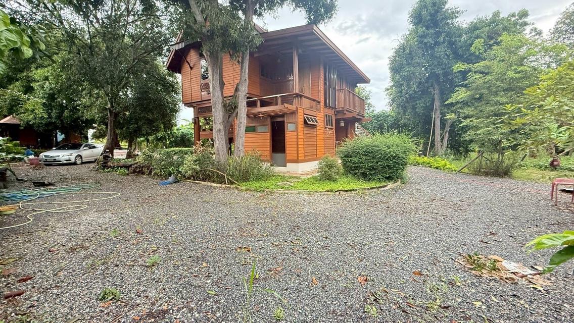 บ้านพร้อมที่ดิน จังหวัดอุทัยธานี 4