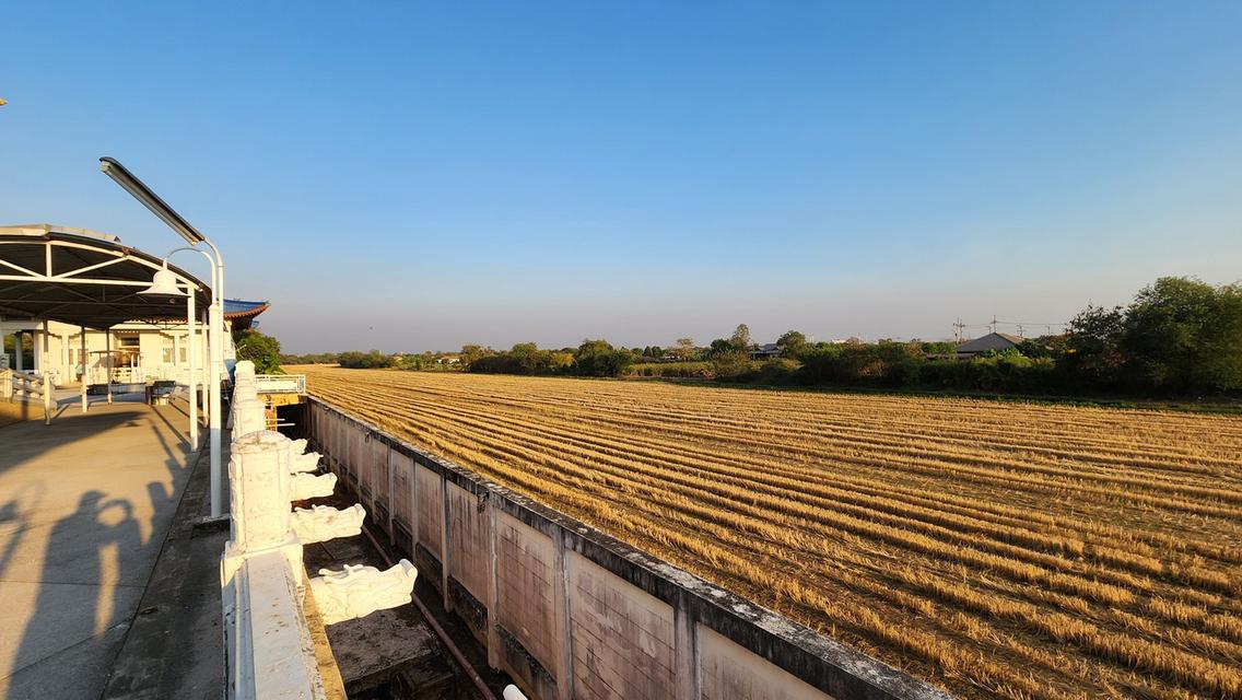 ขายที่ดินวังตะเคียน 53 ไร่ ซอยหลังแม็คโคร ติดคลอง ใกล้ถ.สุวินทวงศ์304-1กม. อ.เมืองฉะเชิงเทรา 9