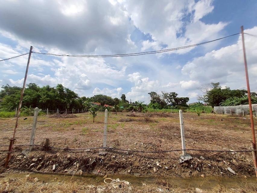 ขายด่วน ที่ดินพุทธมณฑลสายสาม 360 ตารางวา ถมแล้วทั้งแปลง ซอย 19 แยก 6-12 เขตทวีวัฒนา กทม.