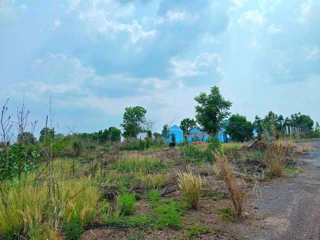ขายที่ดินสวยปราจีนบุรี ที่ดินพร้อมใบอนุญาต 105 106 อ.ศรีมหาโพธิ จ.ปราจีนบุรี เนื้อที่ดิน 39-2-35 ไร่ 4