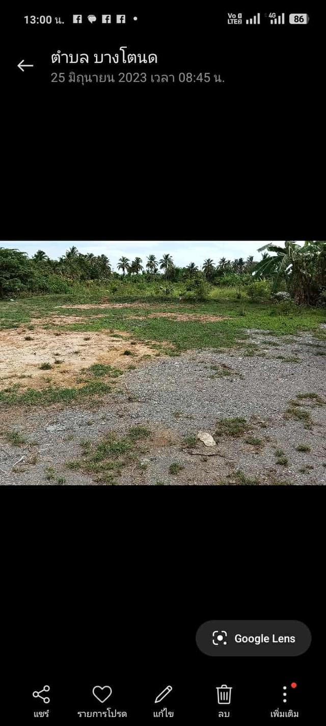 ที่ดิน 2