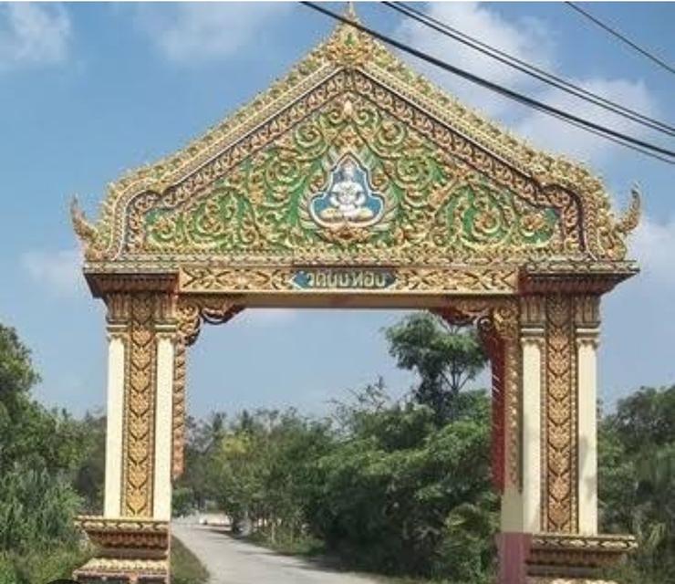ที่ดิน50​ตร.วา​ หน้าเทศบาลท่าช้าง, หน้าวัดยูงทอง​ และรร.วัดยูงทอง​ น้ำไม่ท่วม​ ค้าขายได้​ 2