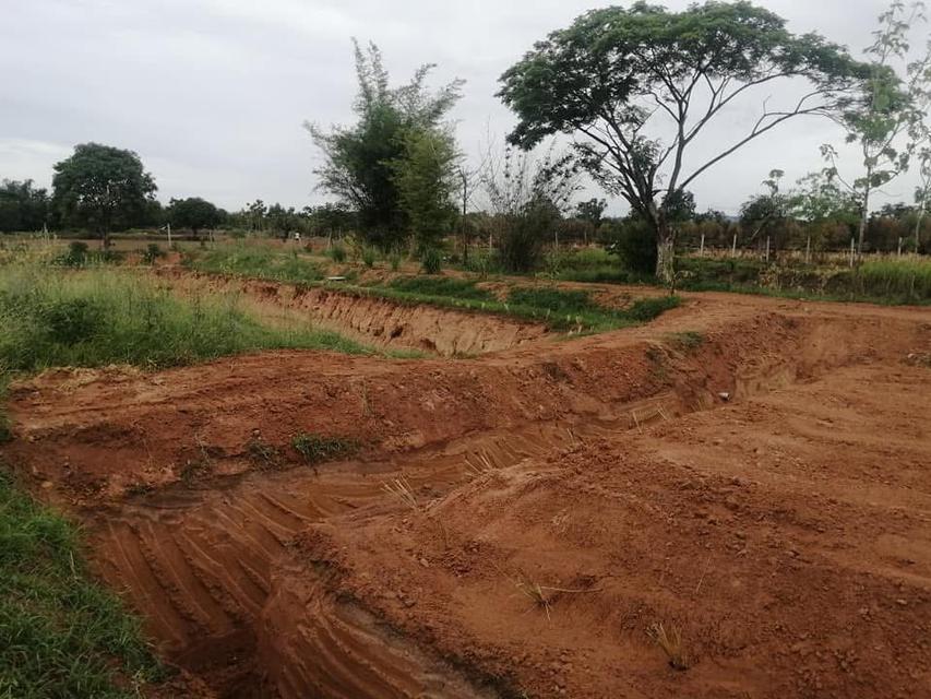 ขายที่สวนโคกหนองนา และบ้านสวน(เจ้าของขายเอง)ร้อนเงิน 11