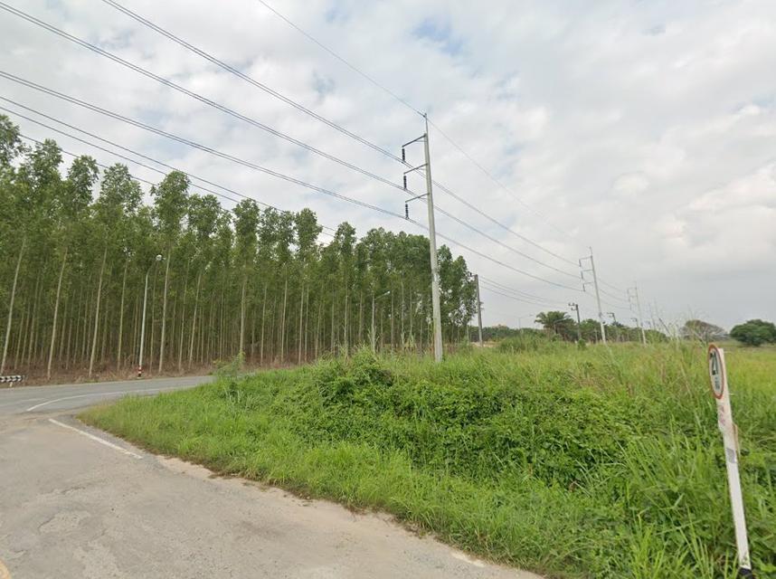 ขายที่ดินหนองเสือช้าง ท่าจาม 11 ไร่ ติดถนนชบ.3083 ติดถนนสาธารณะรอบด้าน ใกล้นิคมWHA3-5กม. อ.หนองใหญ่ ชลบุรี 1