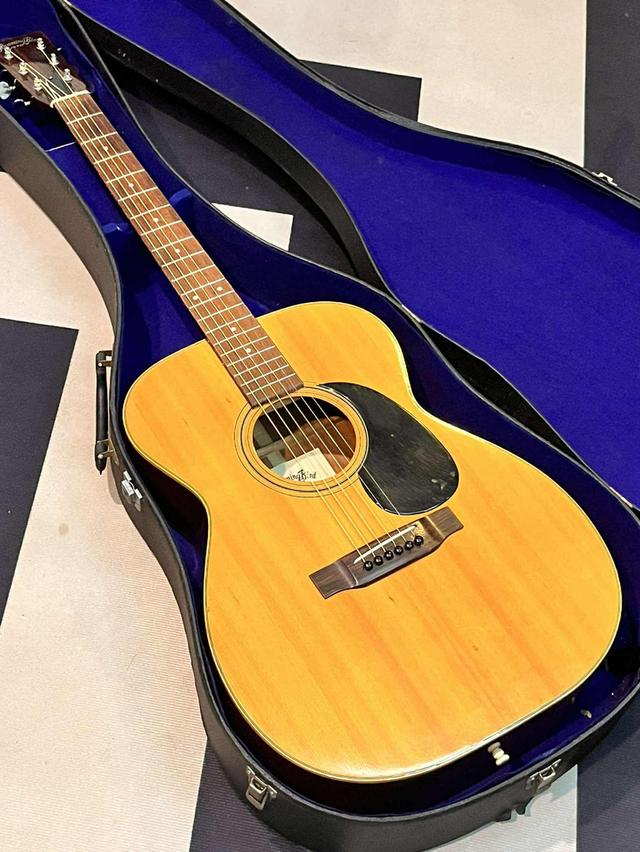 Hummingbird customF150 japan