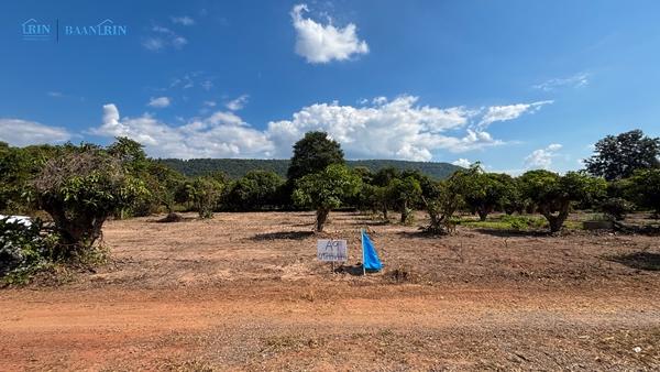 ขายที่ดินเปล่า พร้อมสวนมะม่วง 180 ตร.ว. / 199,999 บ.  097 446 4446 12