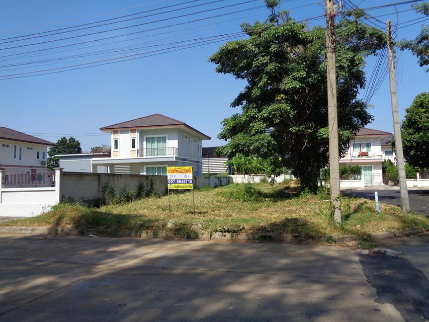 🚩 ขายที่ดินแปลงหัวมุม 129 ตารางวา ราคาถูกสุด❗ ทำเลดี ภายในโครงการหรูมีระดับ 11