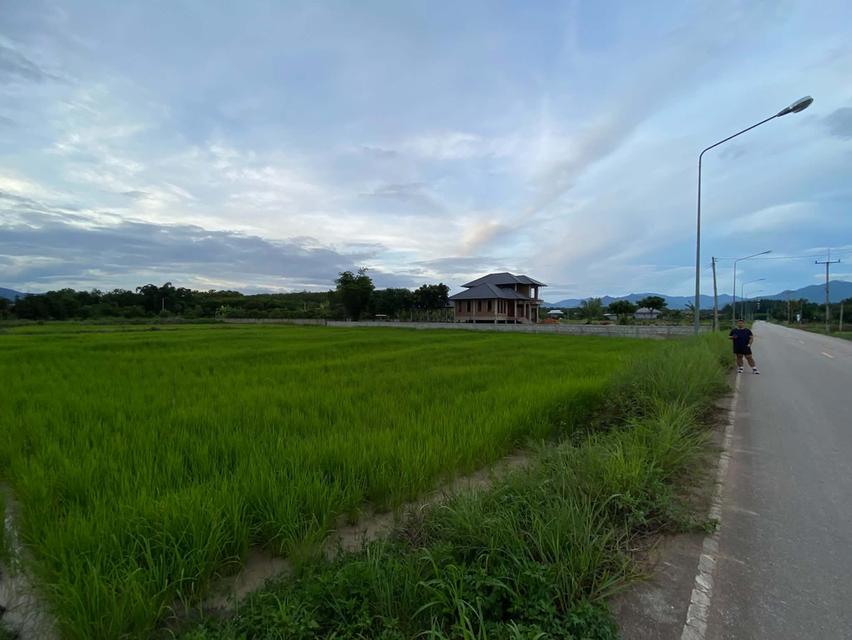 ที่ดิน1ไร่1งาน50ตรว. 4