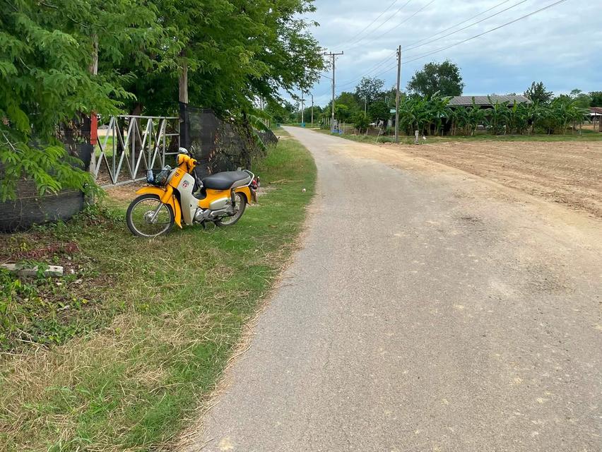 ที่ดินราคาถูก 290,000   เทศบาลตำบลทุ่งหลวง0824657058 4