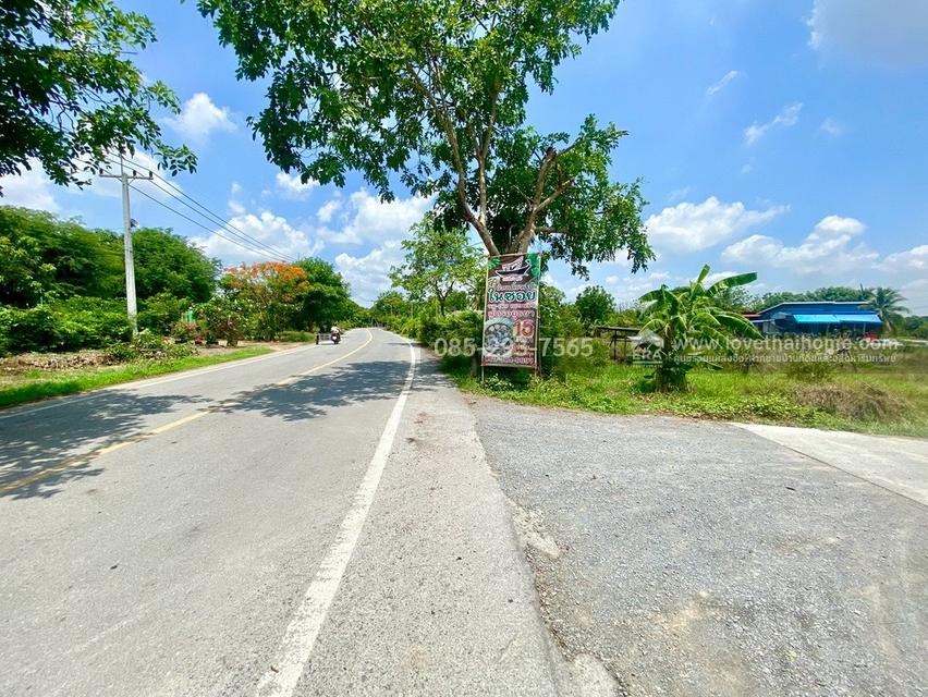 ขายที่ดินเปล่า ต.ศรีสำราญ อ.สองพี่น้อง จ.สุพรรณบุรี พื้นที่ 5 ไร่ ถมแล้ว ห่างจากถนนใหญ่เพียง 200 เมตร ใกล้อบต.ศรีสำราญ 14