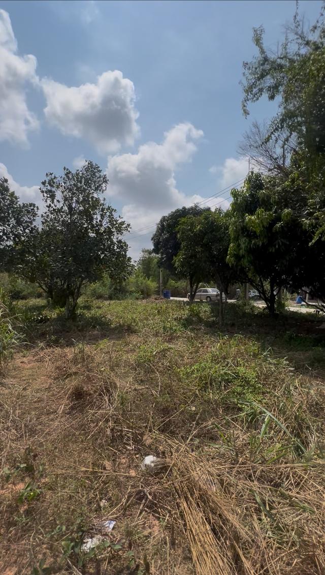 ที่ดิน78 ตรว ราคา780000 2