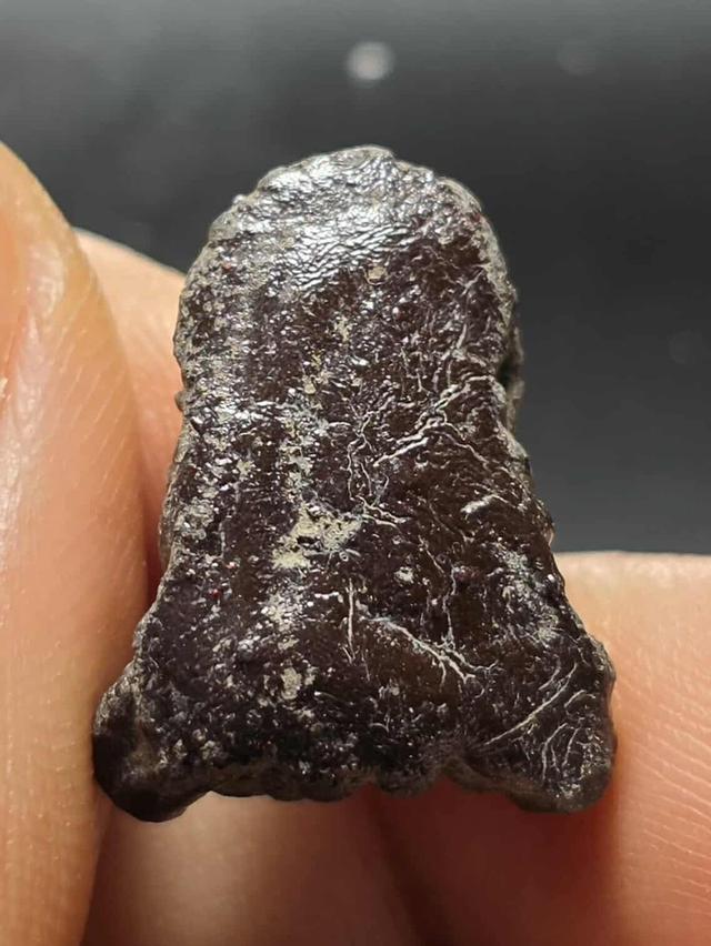 พระมงคล 30/10 2