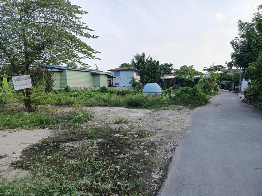 ขายที่ดิน ใกล้รถไฟฟ้าสายสีชมพู รามอินทรา65 แยก 2-2-6 3