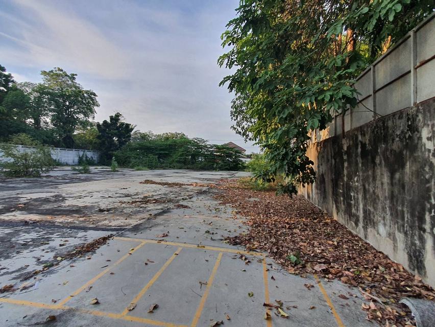 ขายที่ดิน 1 ไร่กรุงเทพกรีฑา, กรุงเทพ 14